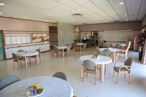 RFBI Berry Masonic Village - e-Seniors 1