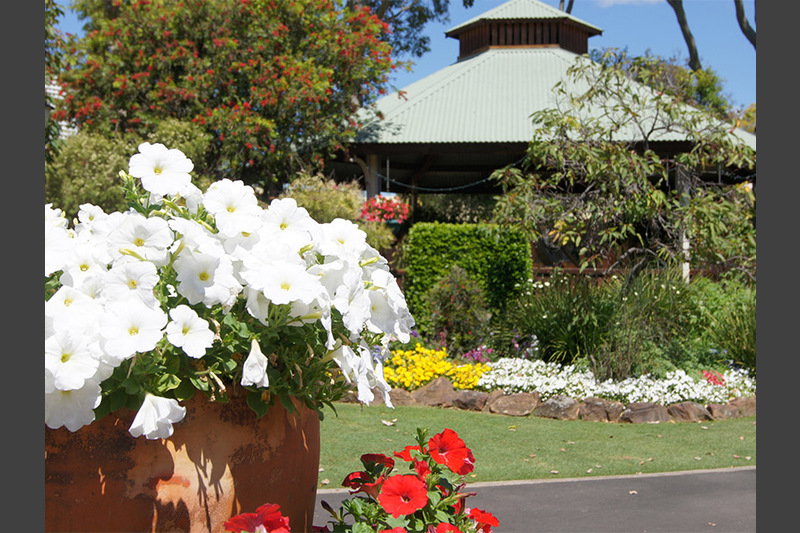 Regency Downs QLD e-Seniors