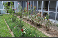 Carramar Aged Care Service