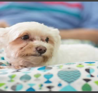 Caloundra - e-Seniors