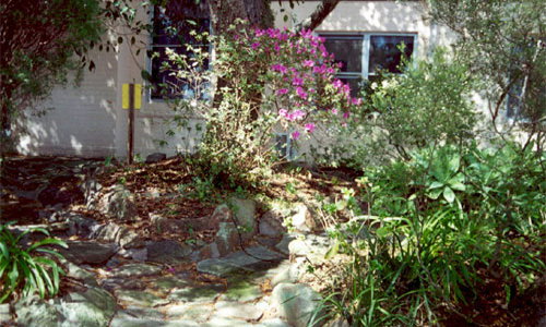 Clermont Aged Care Ryde