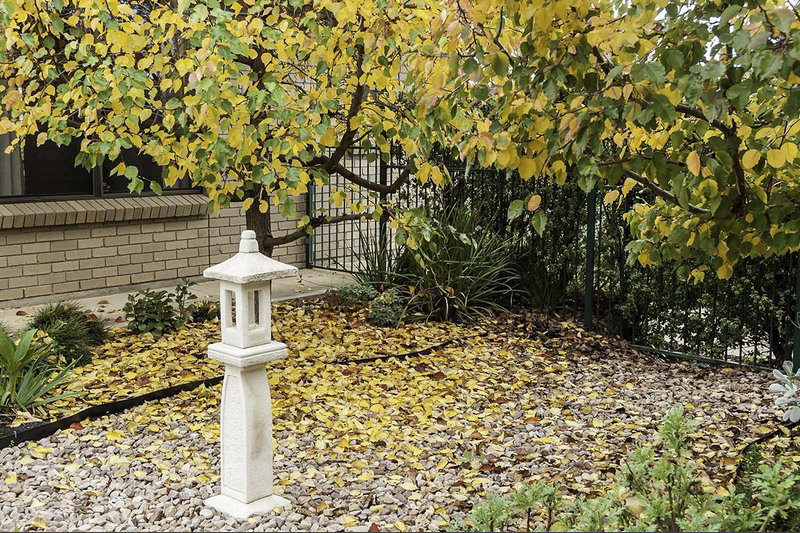 Lerwin Nursing Home Murray Bridge