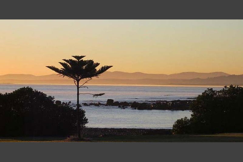 Kindred TAS e-Seniors