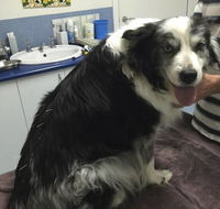 Chirotechnic - e-Seniors