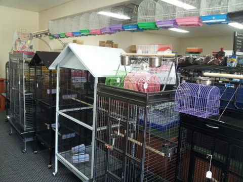 Absolutely Fish And Pets - e-Seniors 1