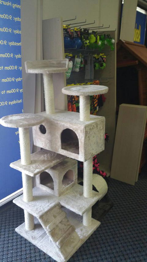 Absolutely Fish And Pets - e-Seniors 2