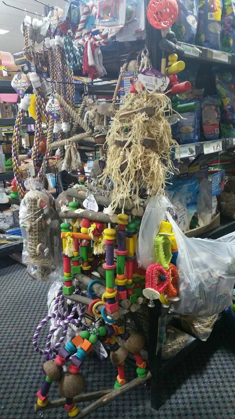 Absolutely Fish And Pets - e-Seniors 4