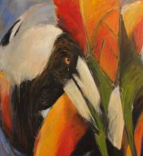 Gallery 5 Hervey Bay Arts Society Inc - e-Seniors 2