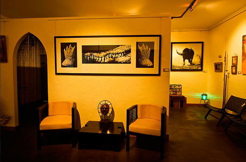 Tin Shed Art Gallery - e-Seniors 2