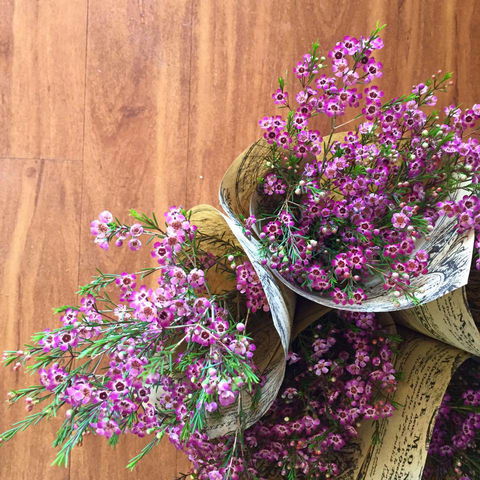 Bay Flowers And Gifts - e-Seniors 1