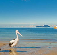 L J Hooker Nelson Bay - e-Seniors
