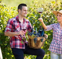 Two Tails Wines - e-Seniors