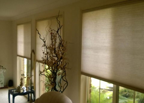 Best Blinds - e-Seniors 2
