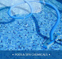 Sadies Chemicals  Cleaning Products - e-Seniors