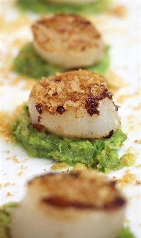 The Wharf - e-Seniors 4