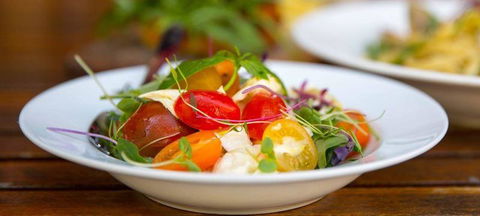 Black Swan Winery & Restaurant - e-Seniors 2