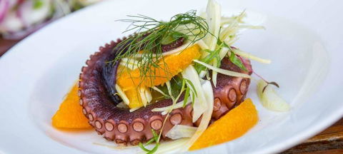 Black Swan Winery & Restaurant - e-Seniors 3