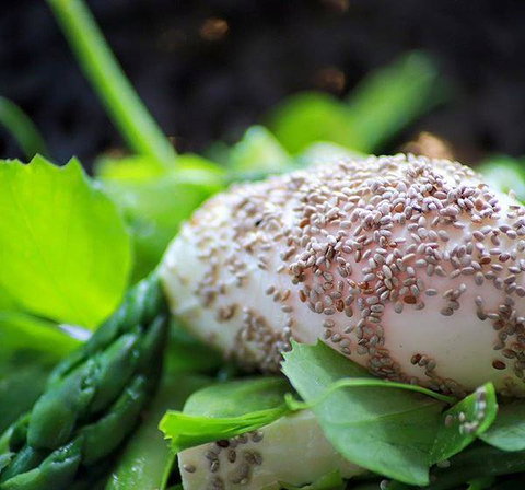 GPO Hotel - e-Seniors 5