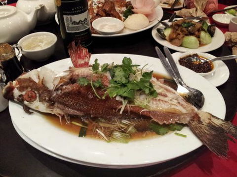 Shark Fin Inn - e-Seniors 0