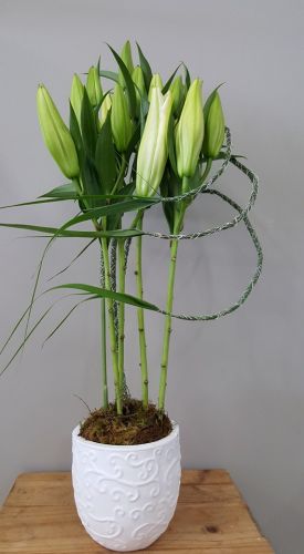 Warners Bay Florist - e-Seniors 0