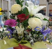 Silver Grevillea - e-Seniors
