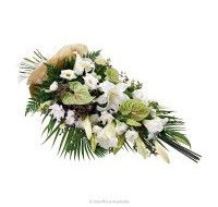 Primavera Flowers - e-Seniors