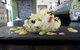 Tapas Tapas Bodega - thumb 14