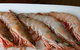 Tapas Tapas Bodega - thumb 22