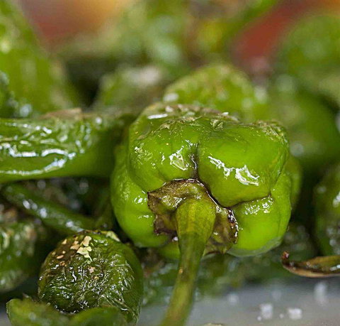 Tapas Tapas Bodega - e-Seniors 7