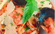 I Love Pho North Sydney - thumb 19