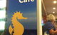 Ocean Spice Cafe - thumb 4