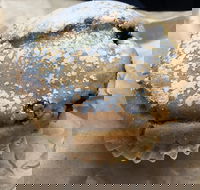 Surfside Patisserie - e-Seniors
