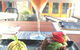 Miss Potz - thumb 1
