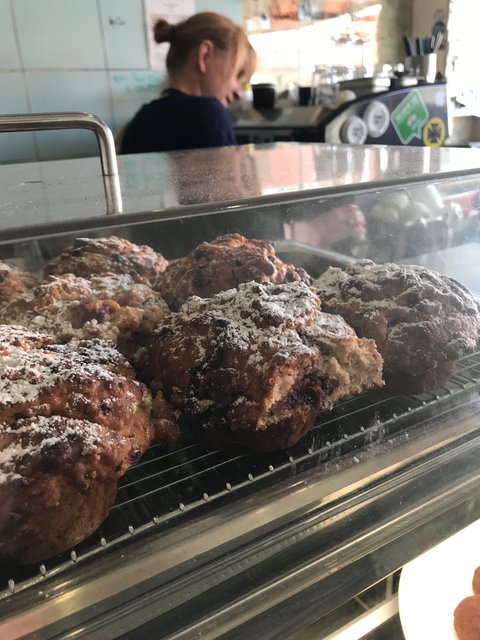 Cheeky Little Place - e-Seniors 5