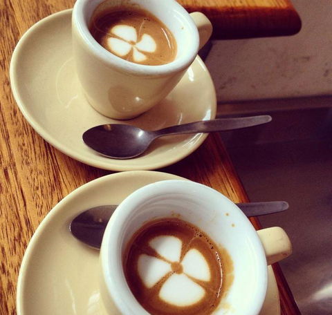 Gorilla Pizza SA - e-Seniors 3