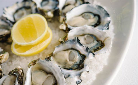 Hallams Waterfront Seafood Restaurant - e-Seniors 18