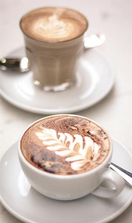 Cafe At Provincial - e-Seniors 4