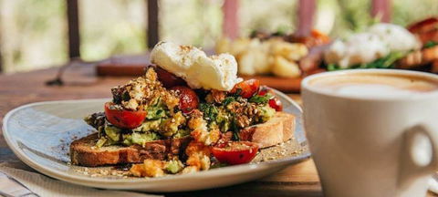 Lindsay's Cafe - e-Seniors 1