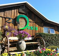 Zen Oasis Vegetarian Restaurant - e-Seniors