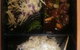 Bento - thumb 0