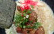 Secret Begining Cafe - thumb 3