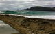 Bruny Island Berry Farm - thumb 0
