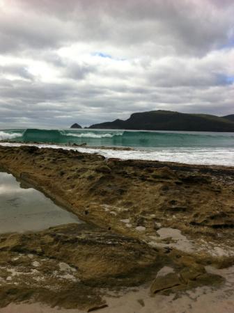 Bruny Island Berry Farm - e-Seniors 0
