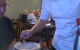 Harmony Modern Chinese Cuisine - thumb 5