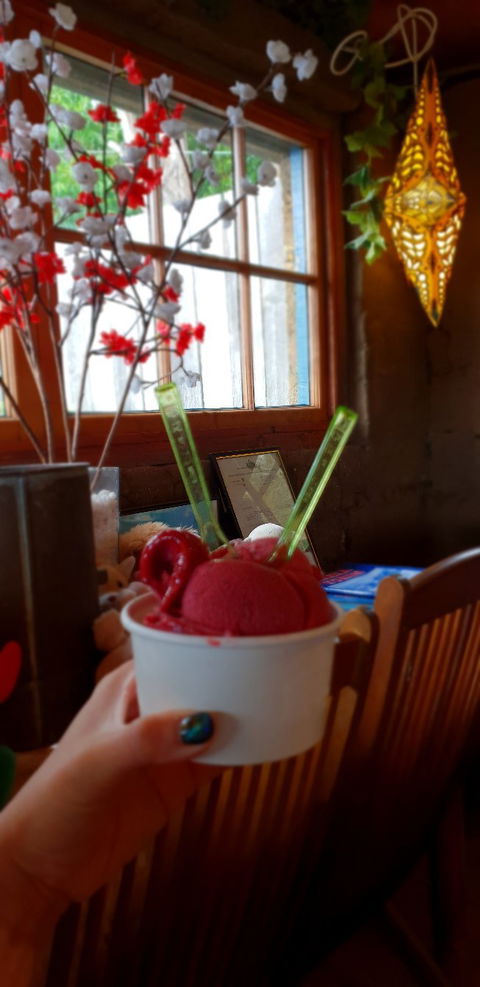 Kates Berry Farm - e-Seniors 1