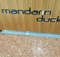 Mandarin Duck - e-Seniors