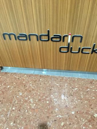 Mandarin Duck - e-Seniors 0