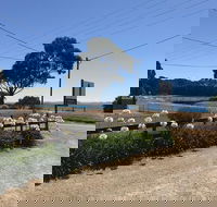 Penguin  Pardalote Coffee House - e-Seniors