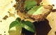 Rialto Gallery Restaurant - thumb 0