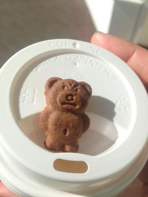 Sash Coffee - e-Seniors 9